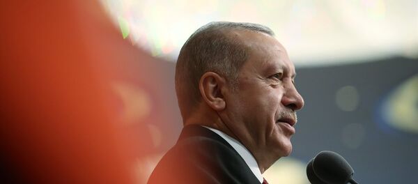 Türkiye Cumhurbaşkanı Recep Tayyip Erdoğan - Sputnik Türkiye