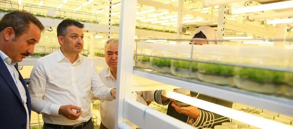 Tarım ve Orman Bakanı Bekir Pakdemirli Tarım ve Orman Bakanı Bekir Pakdemirli - Sputnik Türkiye