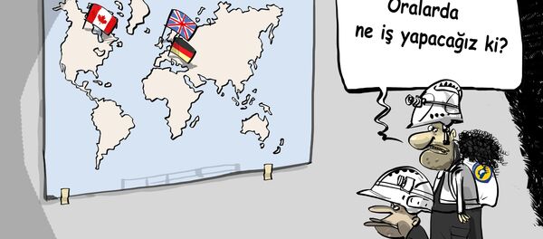 Karikatür - Sputnik Türkiye