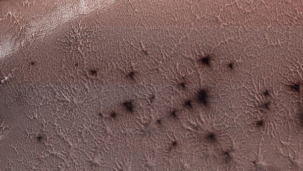 NASA, ‘Mars örümceklerine’ ait yeni görüntü yayınladı! - Sputnik Türkiye