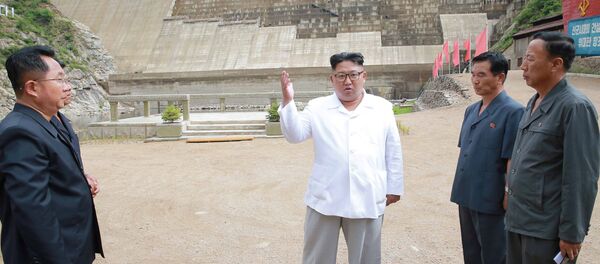 Kuzey Kore lideri Kim Jong-un  Orangchon Elektrik Santrali'ni teftiş ederken - Sputnik Türkiye