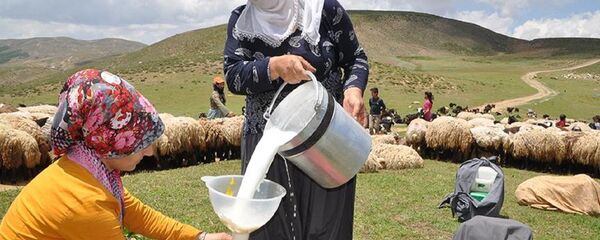 Süt, hayvancılık - Sputnik Türkiye
