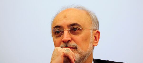 İran Cumhurbaşkanı Yardımcısı ve İran Atom Enerjisi Kurumu Başkanı Ali Ekber Salihi - Sputnik Türkiye