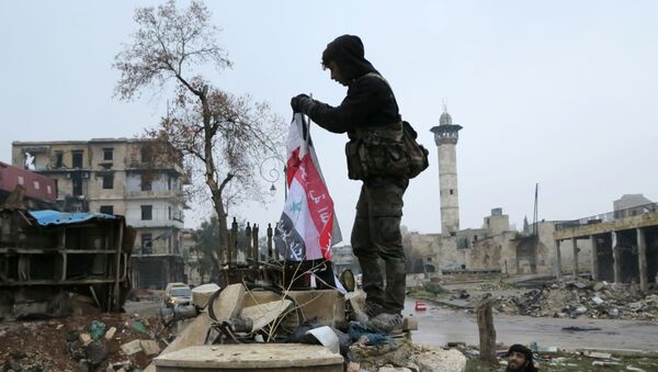 Suriyeli asker, Suriye Bayrağı'nı asıyor - Sputnik Türkiye