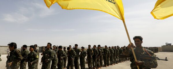 DSG - Sputnik Türkiye