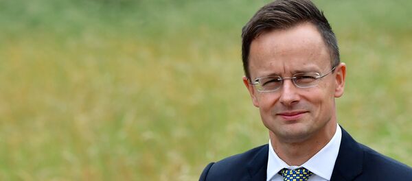 Macaristan Dışişleri ve Dış Ticaret Bakanı Peter Szijjarto - Sputnik Türkiye