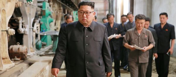 Kuzey Kore lideri Kim Jong-un - Sputnik Türkiye
