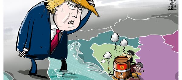 Karikatür - Sputnik Türkiye