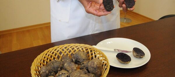 Türkiye’de bir ilk! Mor renkli üretildi - Sputnik Türkiye