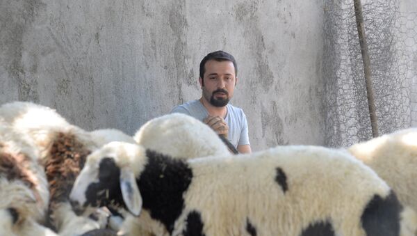 Bedelli askerlik parası için hayvanlarını satışa çıkardı - Sputnik Türkiye