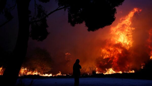 Yunanistan'da orman yangını: En az 1 ölü, Çipras yurtdışı gezisini yarıda kesti - Sputnik Türkiye