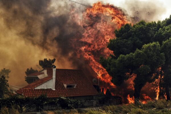 Yunanistan'daki orman yangınları - Sputnik Türkiye