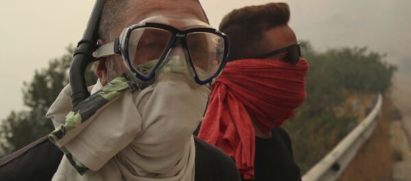 Yunanistan'daki orman yangınları - Sputnik Türkiye