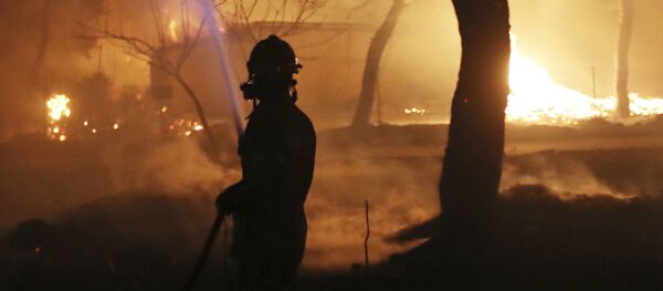 Yunanistan'daki orman yangınları - Sputnik Türkiye