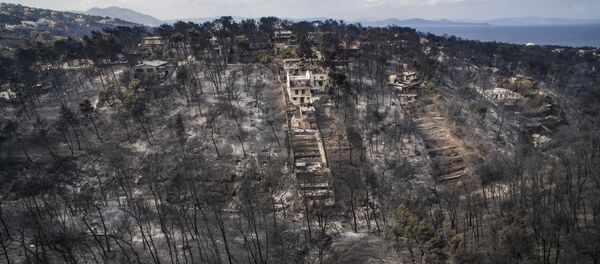 Mati Köyü-Orman yangını - Sputnik Türkiye