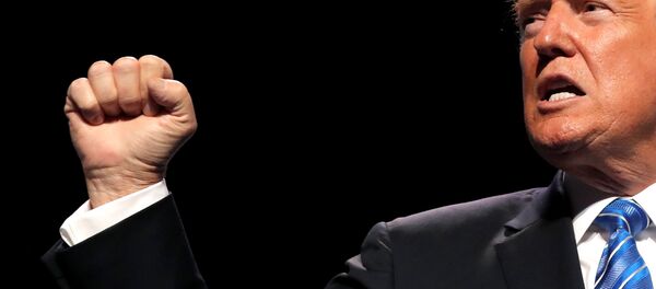 ABD Başkanı Donald Trump - Sputnik Türkiye