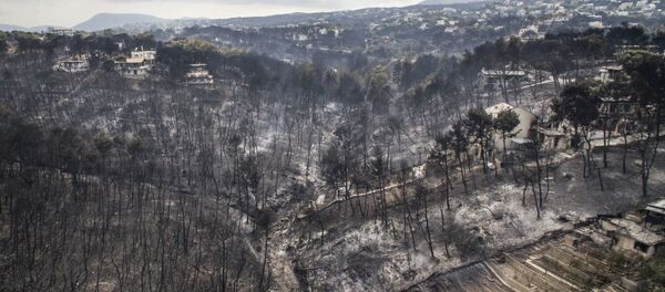 Az sonra yangın Atina ile Korint arasında bulunan sahil yerşelim merkezlerine geçti. - Sputnik Türkiye