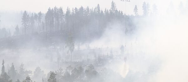 İsveç - yangın - Sputnik Türkiye