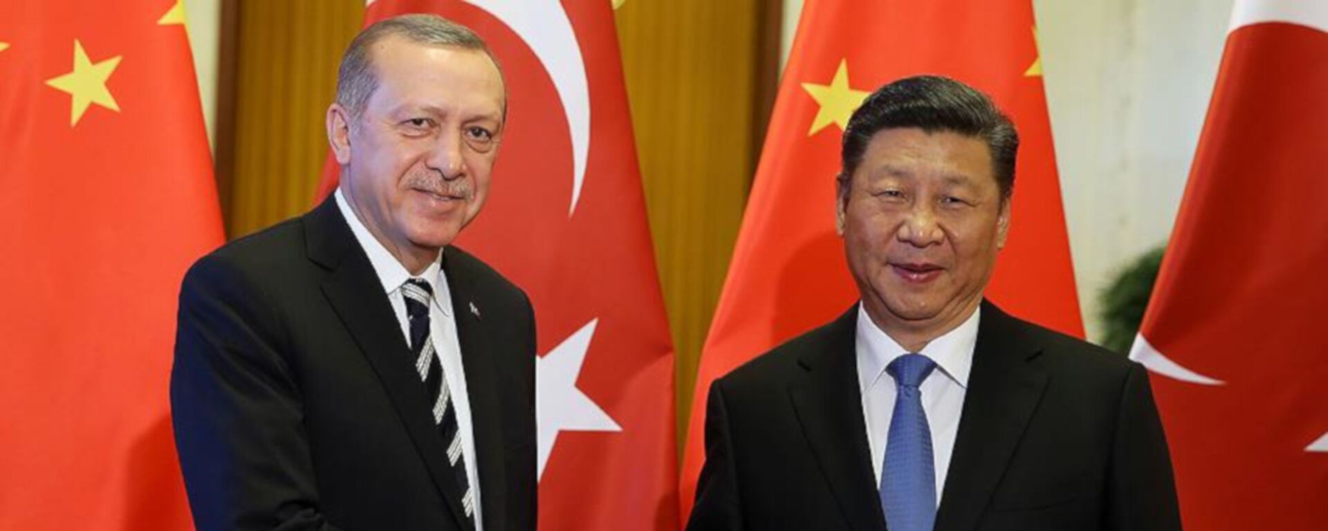 Cumhurbaşkanı Erdoğan, Çin Devlet Başkanı Şi ile bir araya geldi - Sputnik Türkiye, 1920, 16.09.2022