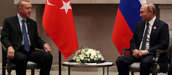 Erdoğan'ın, Putin ile BRICS zirvesindeki görüşmesi başladı: Aramızdaki dayanışma birilerini kıskandırıyor - Sputnik Türkiye