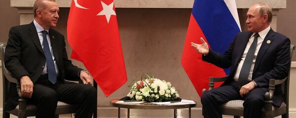Cumhurbaşkanı Recep Tayyip Erdoğan-Rusya Devlet Başkanı Vladimir Putin - Sputnik Türkiye