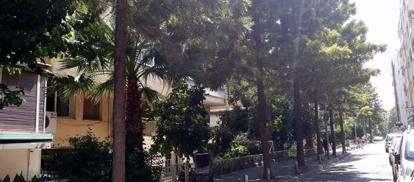 Brunson'un evi - Sputnik Türkiye