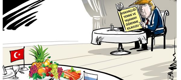 Karikatür - Sputnik Türkiye