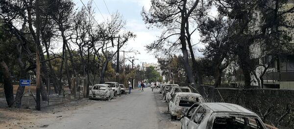 Yunanistan'daki yangın faciası - Sputnik Türkiye