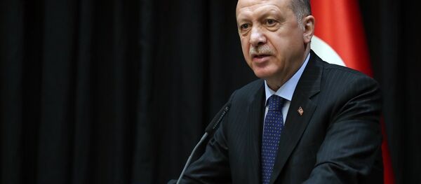 Erdoğan, Zambiya - Sputnik Türkiye