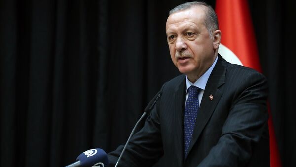 Erdoğan, Zambiya - Sputnik Türkiye