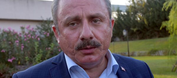 TBMM Başkanvekili Mustafa Şentop - Sputnik Türkiye