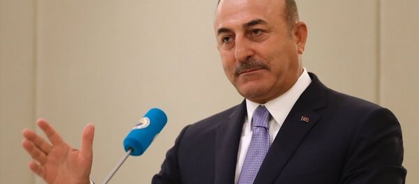 Mevlüt Çavuşoğlu - Sputnik Türkiye