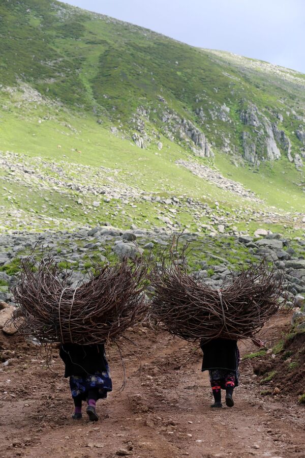'Doğa bozulmasın' diye yaylaya yol istemediler 'Doğa bozulmasın' diye yaylaya yol istemediler - Sputnik Türkiye