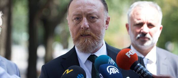 HDP Eş Genel Başkanı Sezai Temelli - Sputnik Türkiye