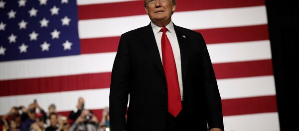 ABD Başkanı Donald Trump - Sputnik Türkiye