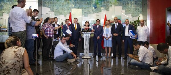 Gaye Usluer, CHP - Sputnik Türkiye