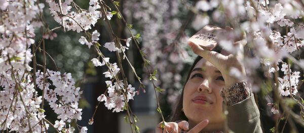 Japonya-Kadın - Sputnik Türkiye