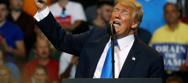 Wilkes-Barre/Pennsylvania'da Trump mitingi - Sputnik Türkiye