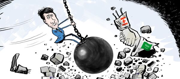 Karikatür Karikatür - Sputnik Türkiye