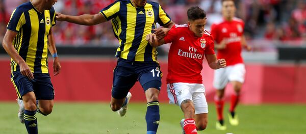 Fenerbahçe-Benfica - Sputnik Türkiye