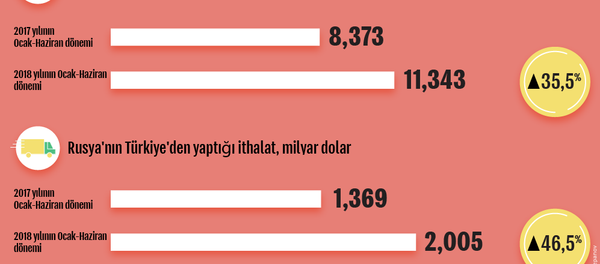 İnfografik - Sputnik Türkiye