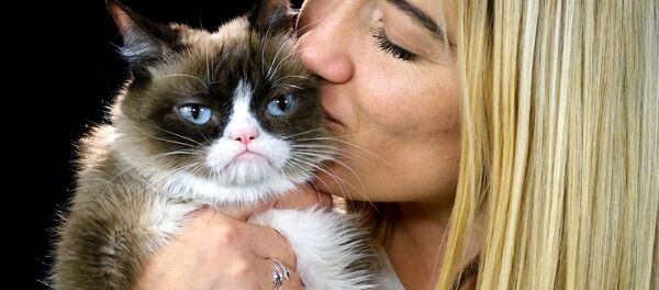 Dünyanın en ünlü kedileri - Sputnik Türkiye