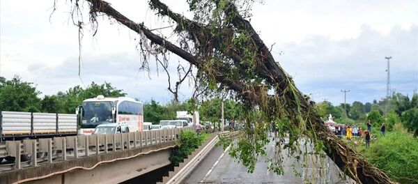 Ordu'da sel felaketi - Sputnik Türkiye