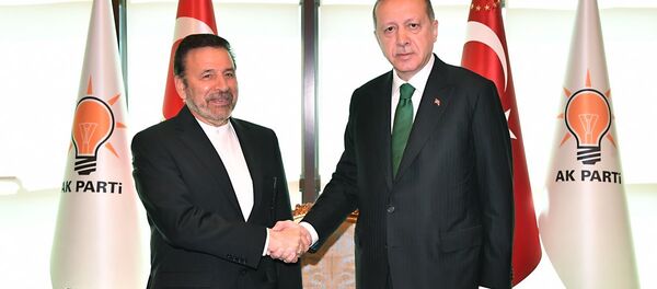 Ruhani'nin özel temsilcisi Vaizi ve Cumhurbaşkanı Erdoğan - Sputnik Türkiye