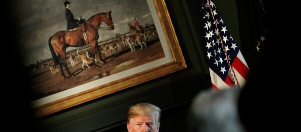 ABD Başkanı Donald Trump ABD Başkanı Donald Trump - Sputnik Türkiye