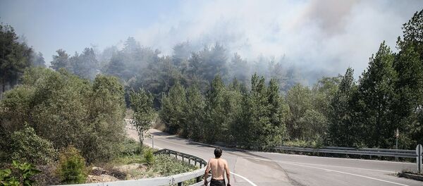 Mudanya'da yangın - Sputnik Türkiye