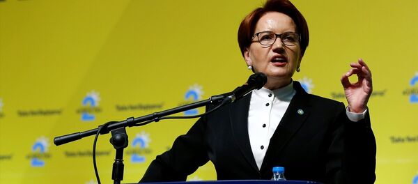 Meral Akşener - Sputnik Türkiye
