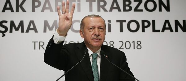 Cumhurbaşkanı Recep Tayyip Erdoğan - Sputnik Türkiye