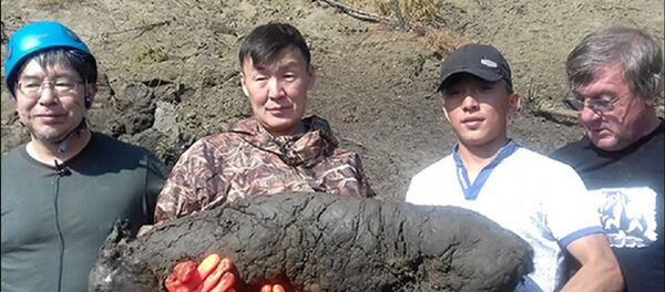 40 bin yıllık tay fosili bulundu - Sputnik Türkiye