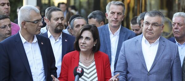 Gaye Usluer, CHP - Sputnik Türkiye